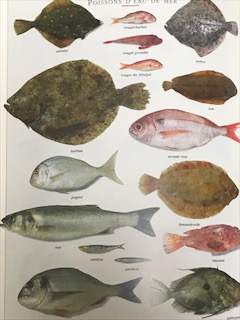 赤身魚と白身魚の特徴や違いは？味や食感で適した料理方法は？